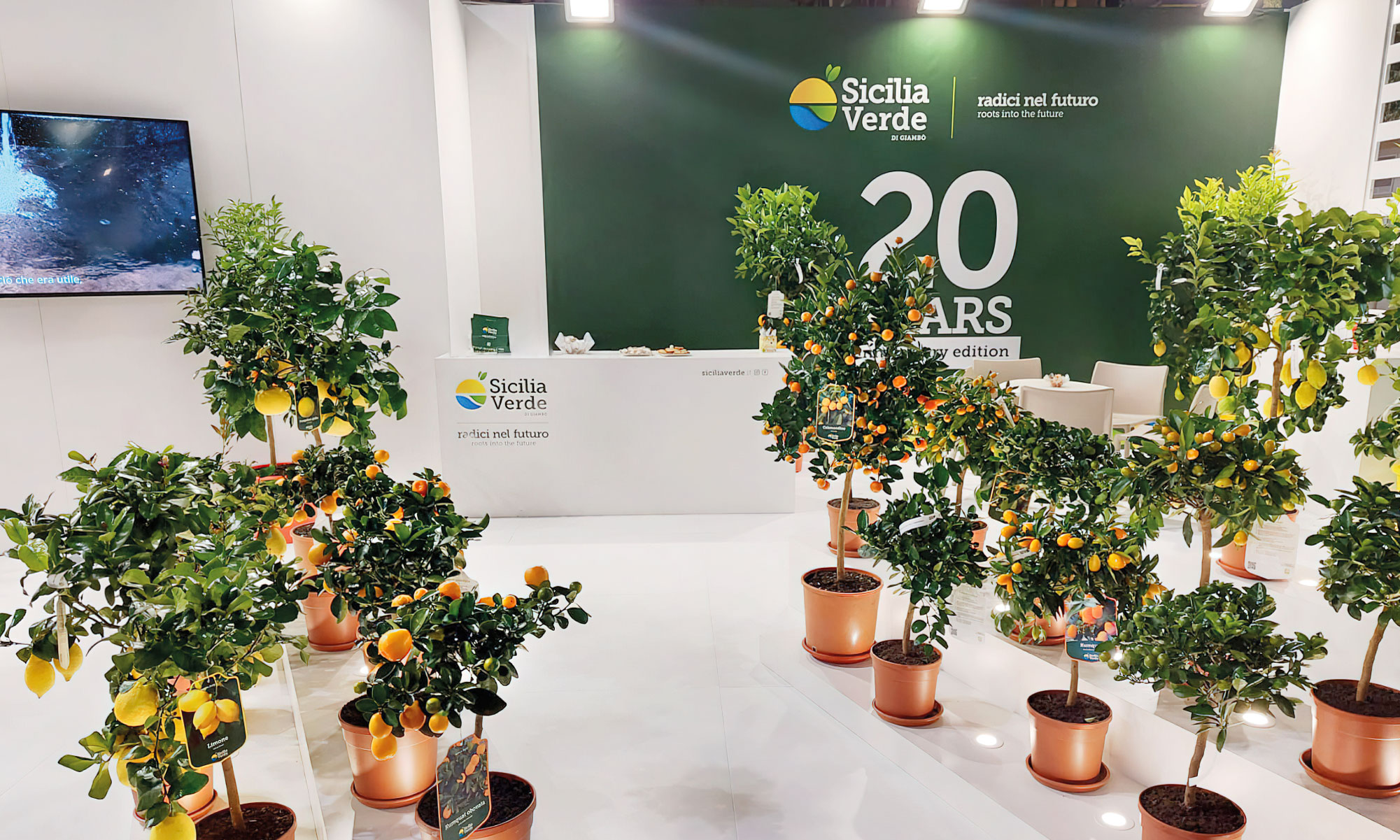 Sicilia-Verde-Fiera