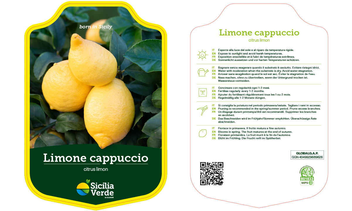 Sicilia-Verde_CL